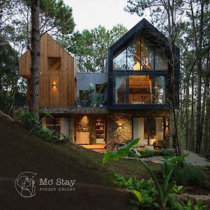 Mo Stay - Forest Resort